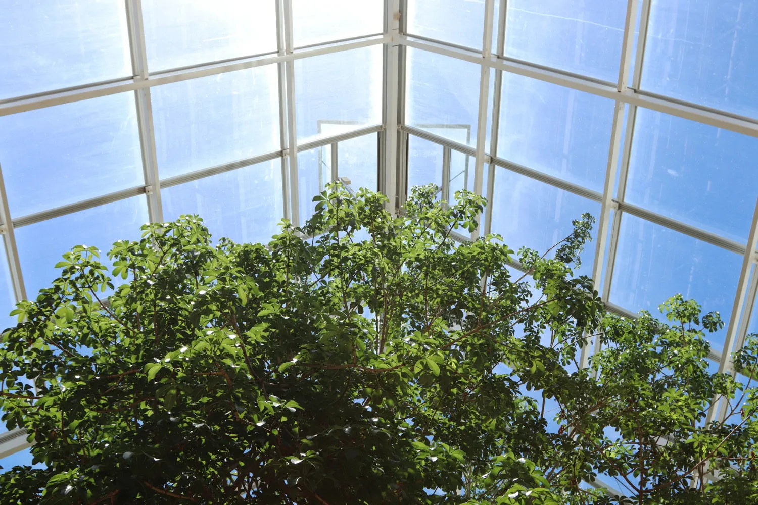 Let the Light Back In with Expert Conservatory Cleaning
