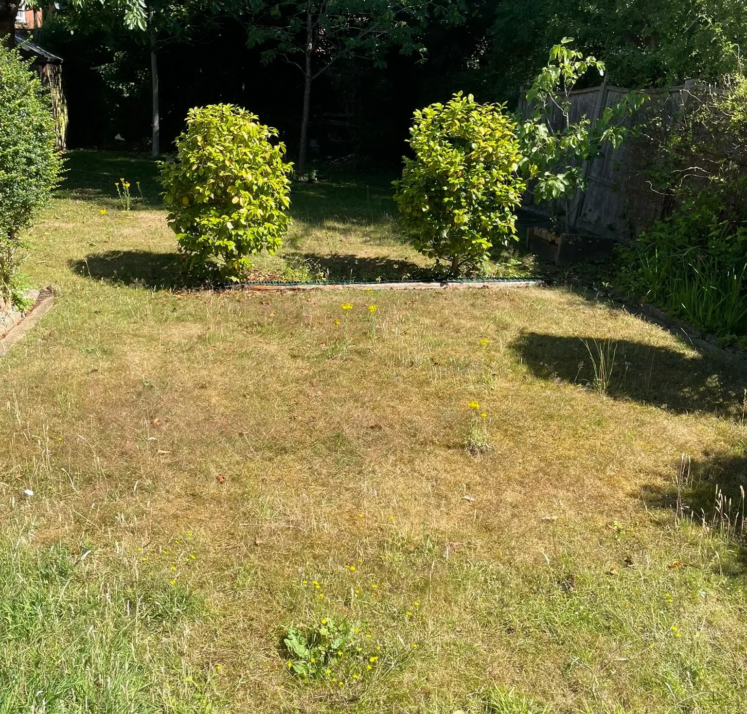 Mowing services Luton