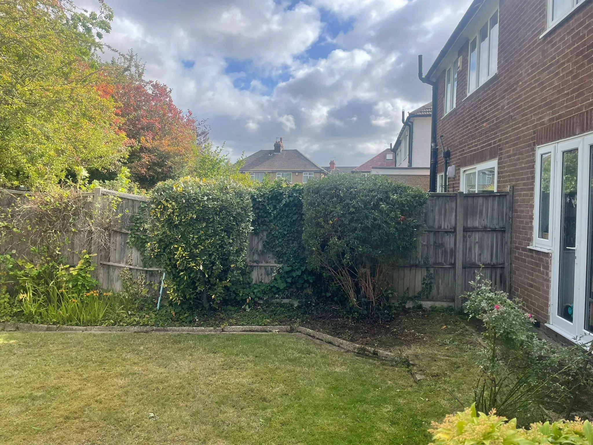 Hedge Trimming Services in Luton